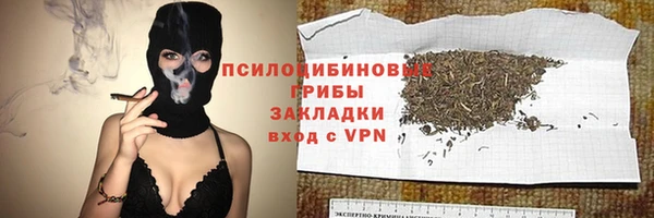 спайс Белокуриха